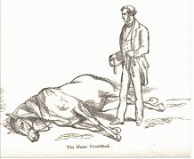 drawing of horse that has been laid down by JS Rarey, the original horse whisperer