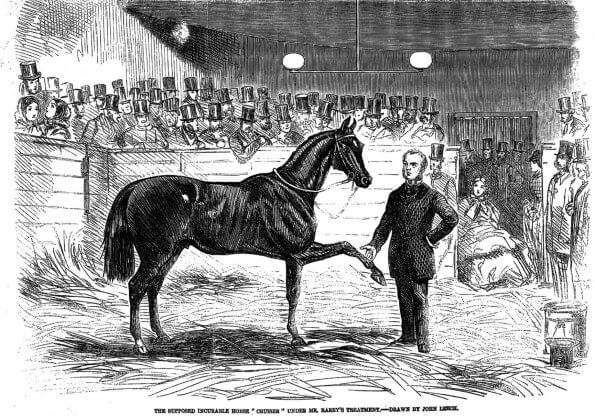 drawing of J.S. Rarey, the horse whisperer, and Cruiser