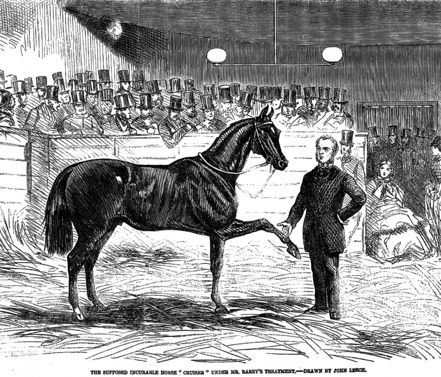 drawing of J.S. Rarey, the horse whisperer, and Cruiser
