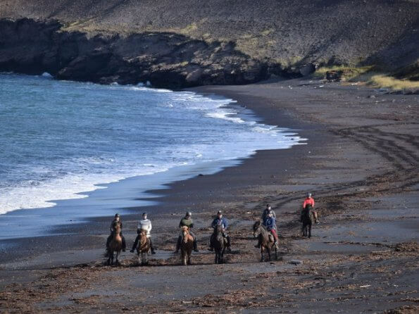 Icelandic trail tour group riding on the black beach in North Iceland