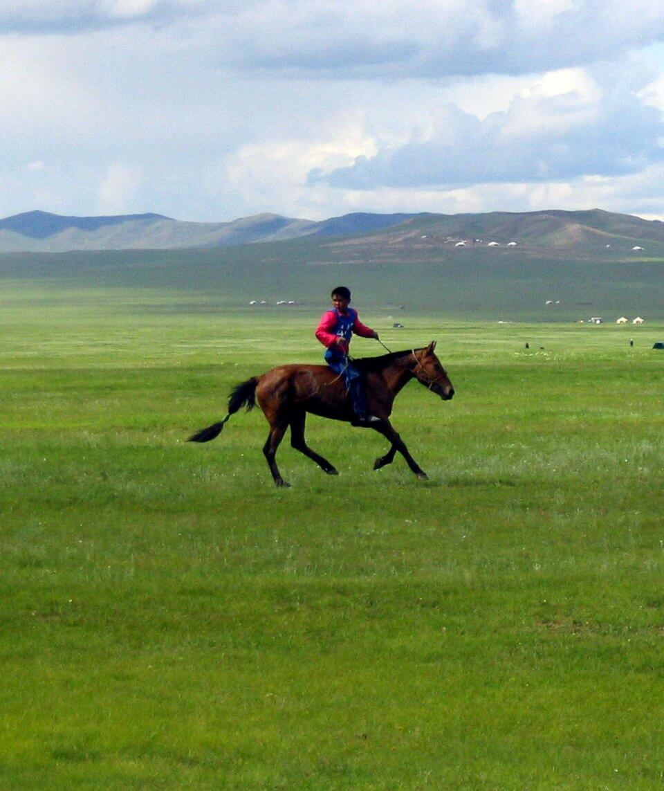 rider on a Mongolian horse on the Steppe
