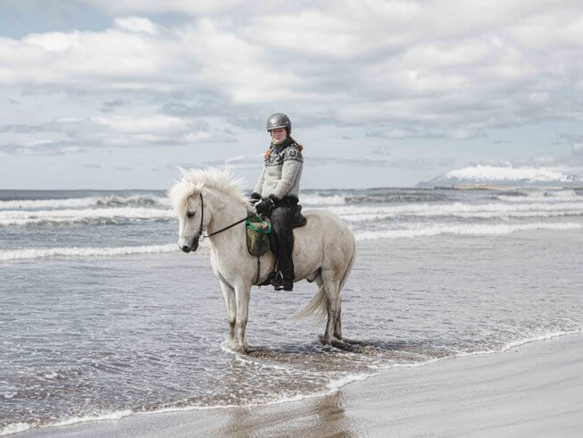 rider mounted on white Iceland horse, on the beach in Iceland