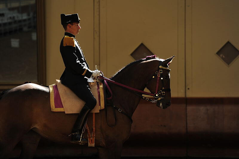 man riding dressage at the Cadre Noir in Fance