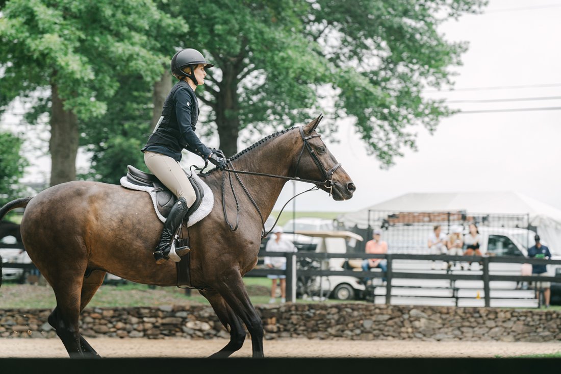 horse cantering in the show ring at Upperville Horse Show