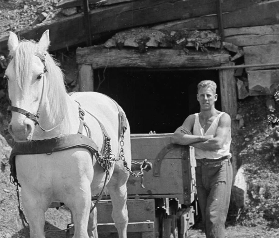 pit pony pulling coal out of a mine with handler standing next to him