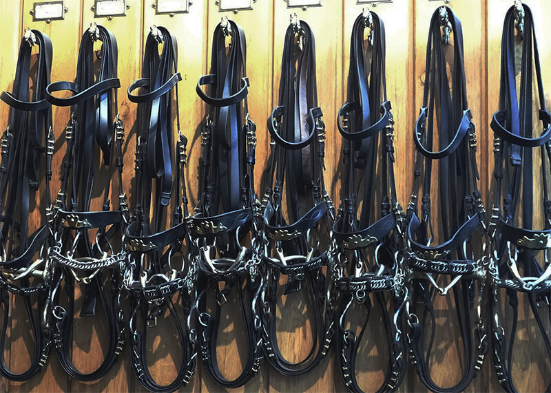 wall full of horse bridles
