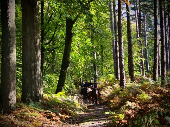 horse trail ride in France