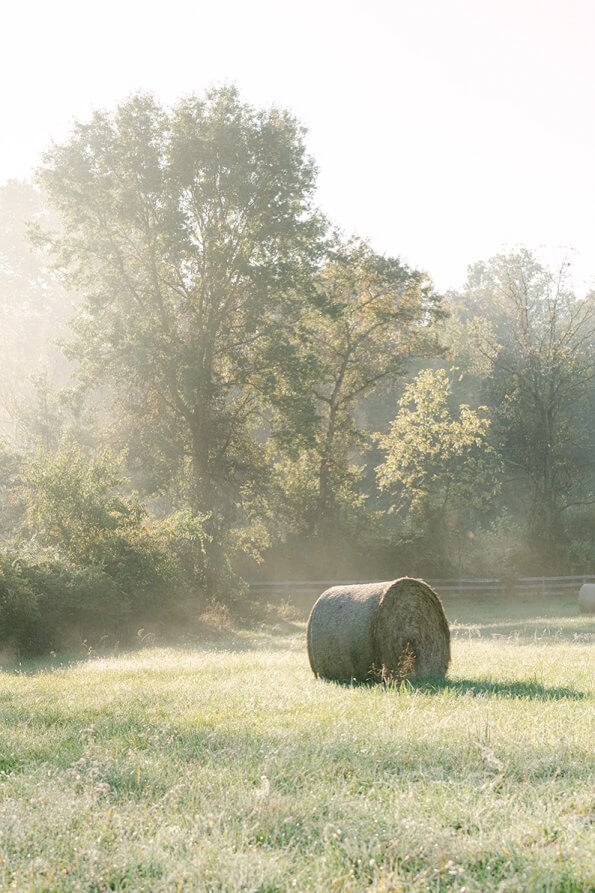 a round bale of hay sitting in a foggy field with trees behind it